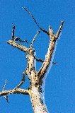 Thumbs/tn_IMGP2552.jpg