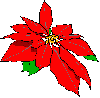 poinsettia.gif (1836 bytes)